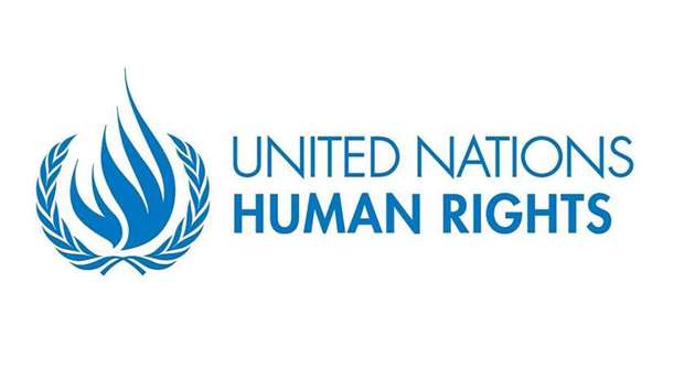 The UN Office of the High Commissioner for Human Rights (OHCHR) carried out a fact-finding mission e