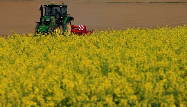 A farmer drives his tractor behind a rapeseed field in Estourmel near Cambrai, France on April 26, 2018.