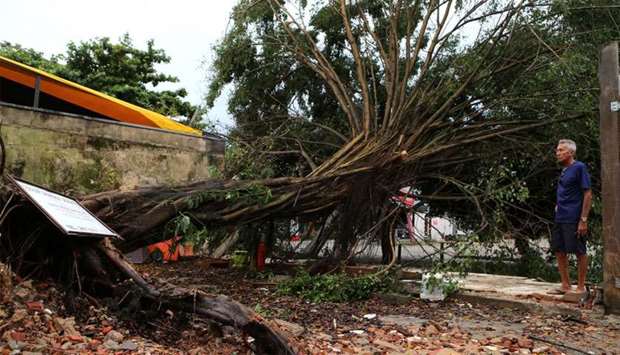 A fallen tree is seen after heavy rains in Barra da Tijuca neighborhood in Rio de Janeiro, Brazil
