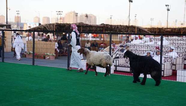 The 9th edition of Halal Qatar Festival under way