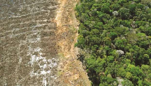 An view of a deforested area close to Sinop, Mato Grosso State, Brazil (file). Emerging-market nations are looking at issuing the first nature-linked bonds as part of talks involving the World Bank and major sovereign creditors to make their debt more sustainable.
