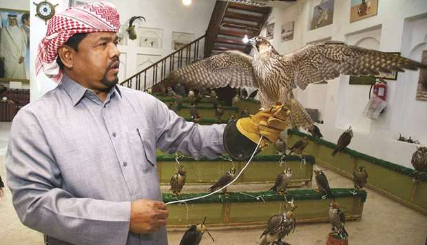Noor Mohammad with a falcon. PICTURES: Jayan Orma