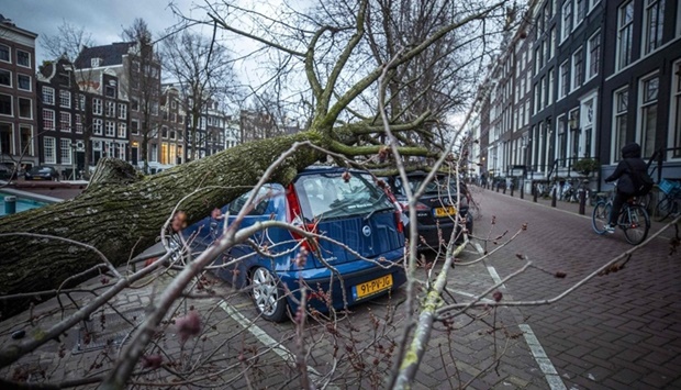 13 dead as Storm Eunice hits power, transport in Europe - Gulf Times