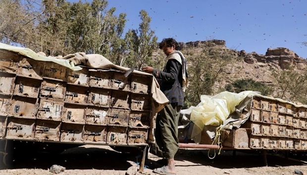 A beekeeper stands by beehives in the Wadi Dhahr outskirt of Sanaa, Yemen.