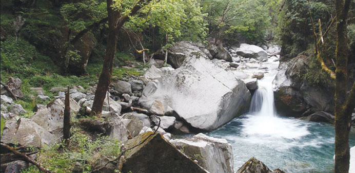 The GHNPCA, located in Kullu district is home to several rare and threatened species.