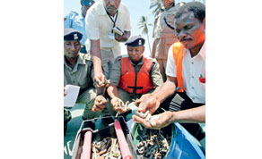 Gulf Times