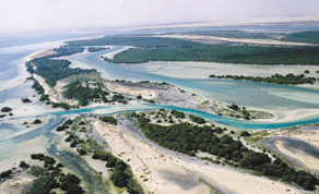 Gulf Times