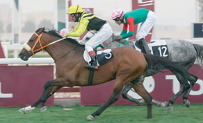 Gulf Times