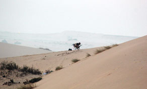 Gulf Times
