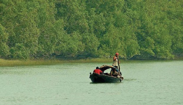 The Sunderbans
