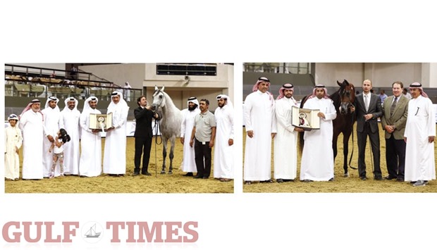 Al Shaqabu2019s Hariry Al Shaqab was adjudged winner of the Class 10B of 4-6-year-old stallions during the Qatar International Arabian Horse Show at Al Shaqab Arena yesterday. Right: Al Muawd Stud owner Saad al-Muawd al-Subae presents the winneru2019s trophy after Najd AM won the Class 6B for three-year-old colts for owner HH Prince Abdullah bin Fahad bin Abdulla al-Saud. PICTURES: Juhaim