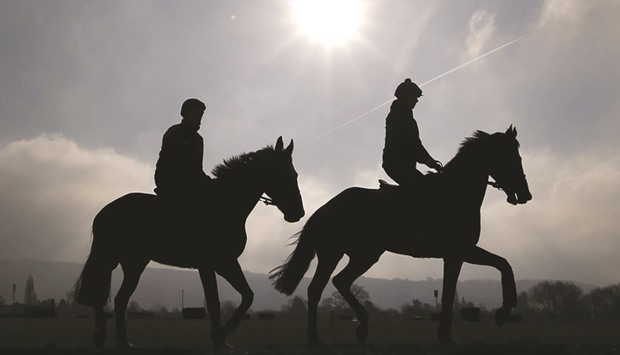 Horses arrive at gallops ahead of the Cheltenham Festival. (Reuters)