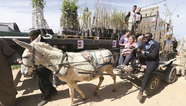 Mamadou Sow (right), head of the International Committee of the Red Cross sub-delegation in Gaza, rides a donkey-drawn cart loaded with almond seedlings in the Wadi as-Salqa town, near the border of central Gaza Strip with Israel.