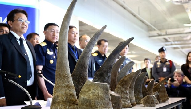 Rhino horns are displayed during a news conference in Bangkok