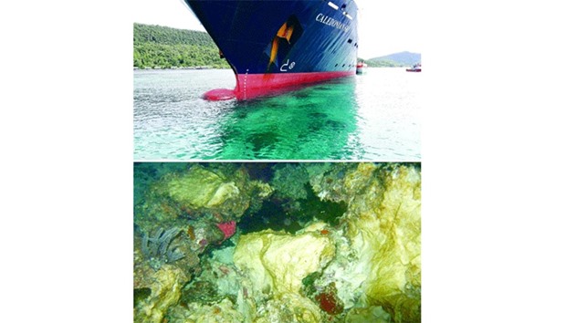 A combination of photos taken on March 4, 2017 shows the Caledonian Sky, a British-owned cruise ship, which smashed into pristine coral reefs causing extensive damage in Raja Ampat, a remote corner of Indonesia known as one of the worldu2019s most biodiverse marine habitats.
