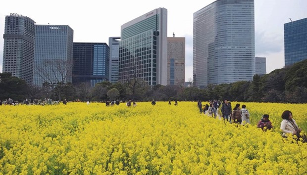 Visitors walk among blossoms at Hama-rikyu Gardens in Tokyo.