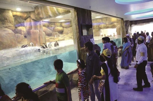 Visitors get a close look at penguins at the Veermata Jijabai Udyan in Mumbai yesterday.