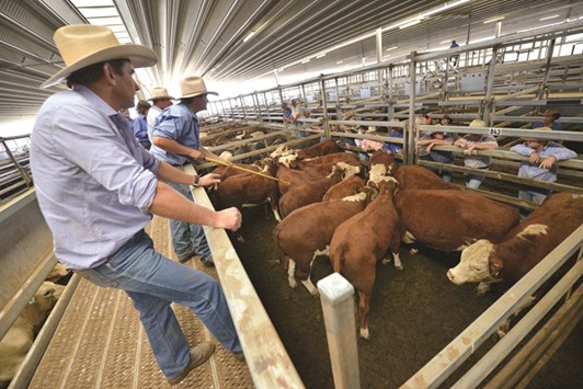 Livestock agents selling cattle to farmers at the weekly sale near the town of Carcoar in New South Wales. As Britainu2019s divorce from the European Union began yesterday, Australiau2019s meat industry is licking its lips at the prospect of a boost in exports as London scrambles to sign free-trade deals across the globe.