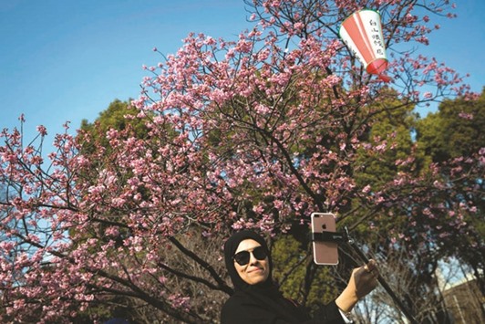 An Emirati woman takes a selfie under a blooming cherry blossom tree in a park in Tokyo, yesterday.
