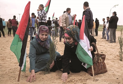 Palestinian women holding their national flag plant olive trees yesterday to mark Land Day near the Israeli border with east Rafah in the southern Gaza Strip.