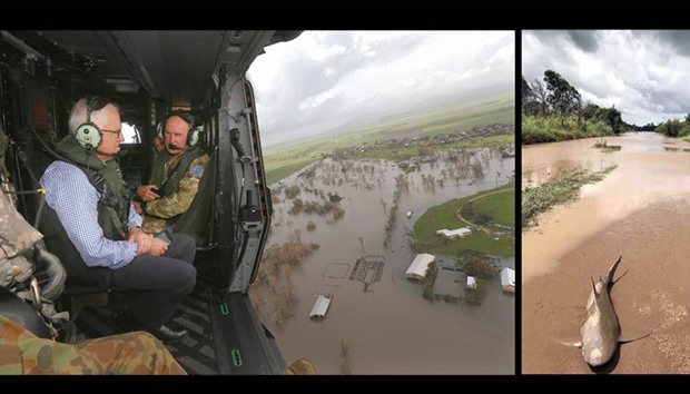 Australian Prime Minister Malcolm Turnbull looks at damaged and flooded areas from aboard an Australian Army helicopter after Cyclone Debbie passed through the area near the town of Bowen, near Townsville.  RIGHT: A bull shark washed up on a road near the town of Ayr. Torrential rain hampered relief efforts yesterday after a powerful cyclone wreaked havoc in northeast Australia, with floods sparking emergency rescues as fed-up tourists began evacuating from resort islands.