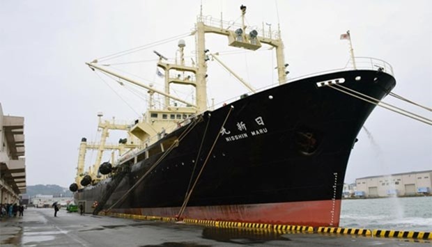 Japanese whaling vessel the Nisshin Maru returns to the Shimonoseki port in southwestern Japan on Friday after it and two other vessels hunted 333 minke whales in the Antarctic Ocean.