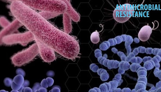 antimicrobial resistance