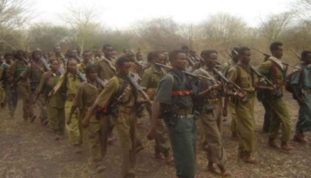 The soldiers were deployed to the Moyale area of the country's Oromiya region in pursuit of Oromo Liberation Front fighters