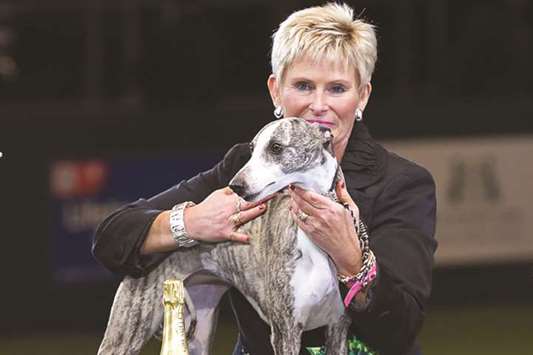 Owner Yvette Short holds u201cCollooney Tartan Teaseu201d (Tease), the Whippet, winner of the Best in Show competition on the final day of the Crufts dog show at the National Exhibition Centre in Birmingham. Activists briefly stopped the show after invading the arena as the judges were announcing the winner.