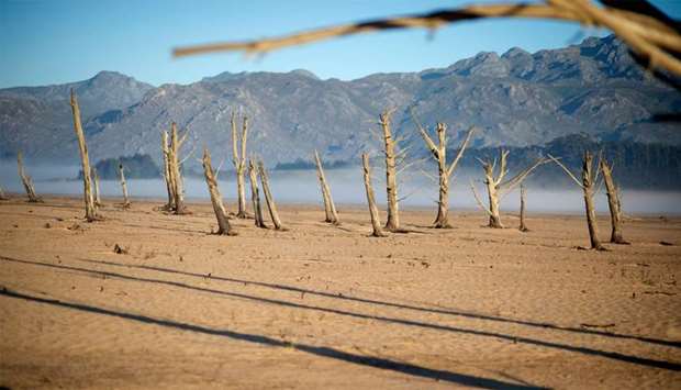 Bare sand and dried tree trunks standing out at Theewaterskloof Dam