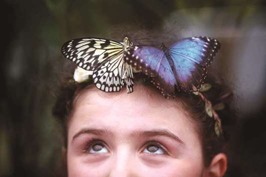 A visitor poses for a picture with a Blue Morpho (right) and a Paper Kite butterfly during a photocall for the u201cSensational Butterfliesu201d exhibition at the Natural History Museum in London yesterday.