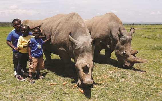Children pose for a photograph next to Najin (right) and her daughter Fatou, the last two northern white rhino females, as they graze near their enclosure at the Ol Pejeta Conservancy in Laikipia National Park, Kenya.