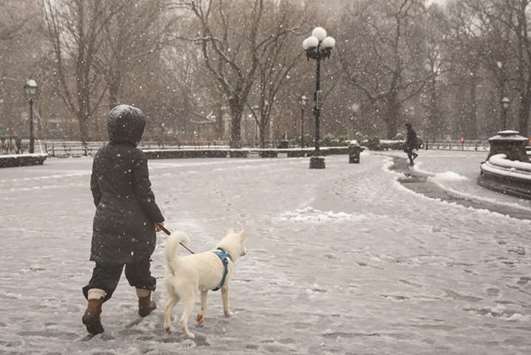 A woman walks her dog as snow falls in Washington Square Park, in New York City.