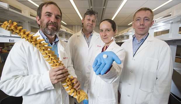 NEWFOUND HOPE: Penn scientists are making synthetic discs like the one held by Sarah Gullbrand, centre, to replace herniated discs in the spine. She and colleagues Rob Mauck, left, Tom Schaer, and Harvey Smith have tested the discs in goats and rats.