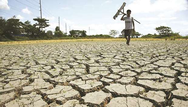 A teenager walks along a parched rice field in Baliuag, Bulacan province.