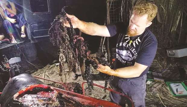 Darrell Blatchley, director of Du2019 Bone Collector Museum Inc, shows plastic waste found in the stomach of a Cuvieru2019s beaked whale in Compostela Valley, Davao, on the southern island of Mindanao.