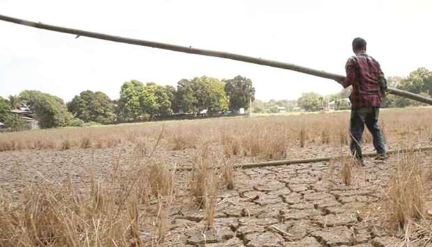 More than 40 provinces experiencing a dry spell might transition to a drought by next month, according to the weather bureau.
