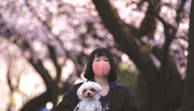 A girl wearing a face mask, following an outbreak of coronavirus, holds up her dog as she enjoys watching cherry blossom in Saitama Prefecture, Japan, yesterday.