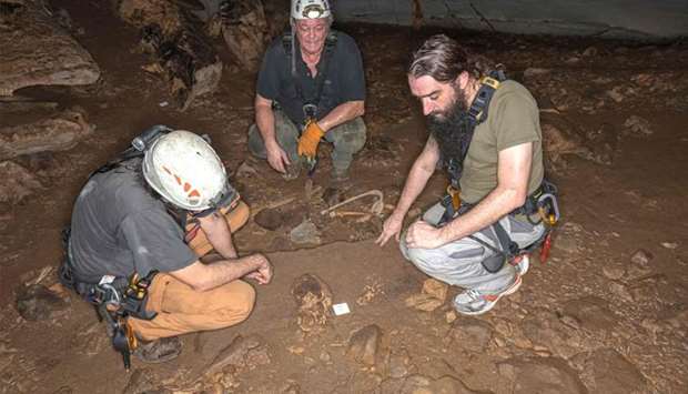 French geo-archeologist Richard Oslisly (C) and two French anthropo-biologists Sebastien Villotte (L) and Sacha Kacki (R) looking at the remains of a skull in the Iroungou cave, near Mouila, southern Gabon.