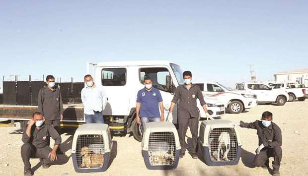 The campaign targets different parts of Al Sheehaniya Municipality in this phase.