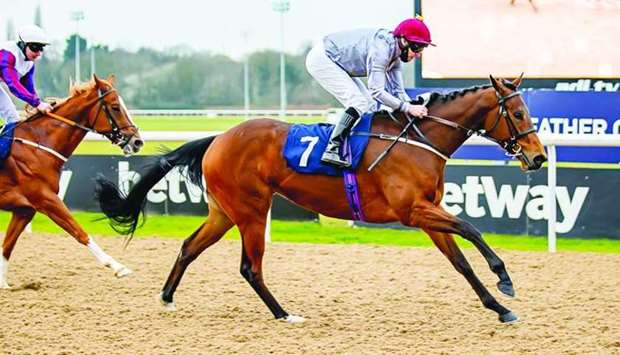 Tony Hamilton (right) rides Al Shoughor to victory in Betway Maiden Stakes in Wolverhampton, United Kingdom, on Saturday. (Jonathan Hipkiss)