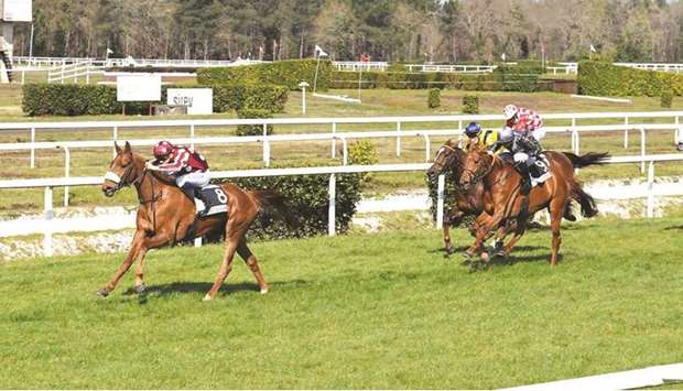 Guillaume Guedj-Gay rides Amel to victory in the Prix Magic De Piboul u2014 Wathba Stallions Cup in Mont de Marsan, France, on Sunday. (Robert Polin)