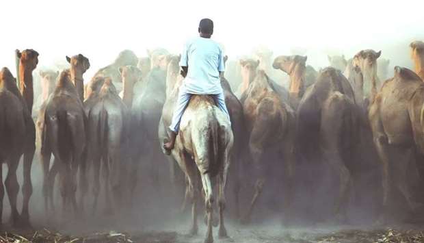 Mohamed Nageeb Nasr's 'Raheel'.