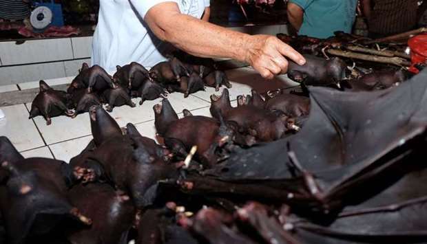 A vendor selling bats at the Tomohon Extreme Meat market on Sulawesi Island, where bats, rats and snakes are sold at the market known for its 'extreme' wildlife offerings, despite calls to take them off the menu over fears of a perceived coronavirus link. AFP file photo, February 8, 2020.