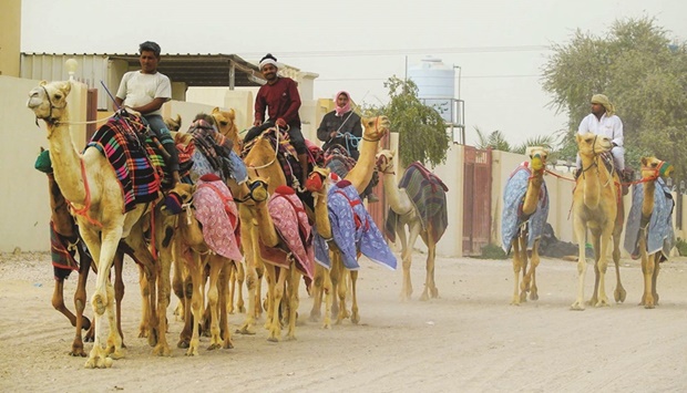Al Sheehaniya Camel Racing Track is the hub of the activities.