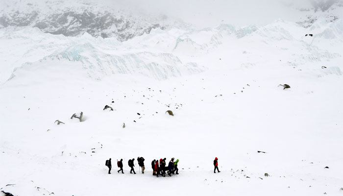  Rescuers carry a sherpa injured by an avalanche that flattened parts of Everest Base Camp.  