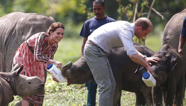 Britainu2019s Catherine, Duchess of Cambridge and Prince William, Duke of Cambridge feed baby elephants at the Centre for Wildlife Rehabilitation and Conservation (CWRC) at Panbari reserve forest in Kaziranga in Assam yesterday.