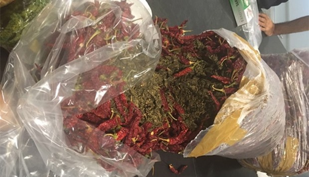 Marijuana was concealed in packets of dried red chillies.