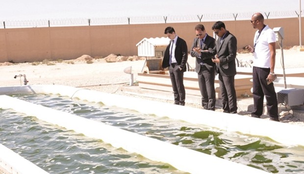 QU currently operates an algae testing plant in Al Khor for its Algal Technologies Programme.