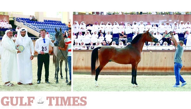 Abdul Asez al-Subae presents the trophy after Bidaya Al Saraiya was won the Yearling Fillies class in the Qatar National Arabian Horse Show for Local Bred Horses yesterday. (Right) Arabian Show Horse Auction also was underway yesterday. PICTURES: Juhaim